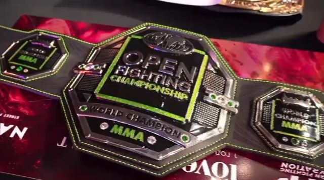 Чемпионский пояс крупным планом